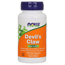 Devil's Claw 500 mg - 100 kapsułek